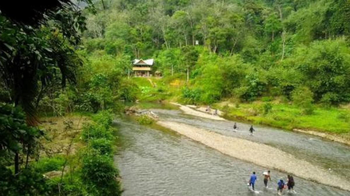 Selang Pangeran Homestay & Jungle Trekking Hotel Bohorok Indonesia