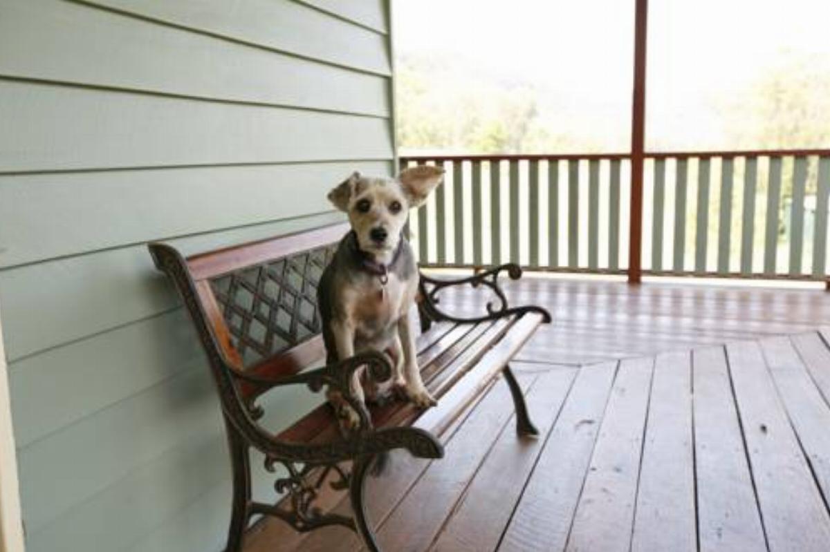 Singletons Retreat .Pet Friendly Hotel Laughtondale Australia