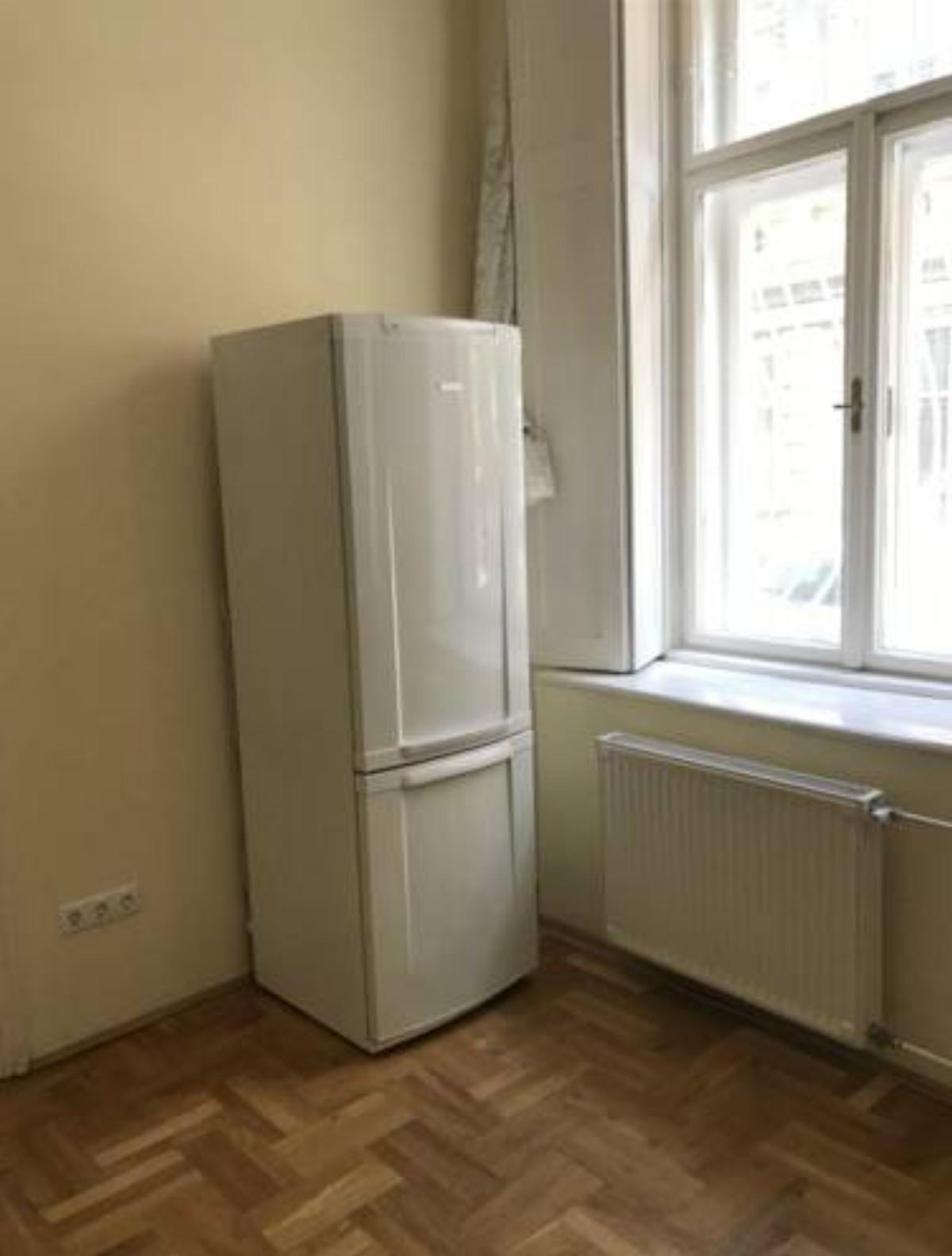 Six district,2 bedrooms big apartment Hotel Budapest Hungary