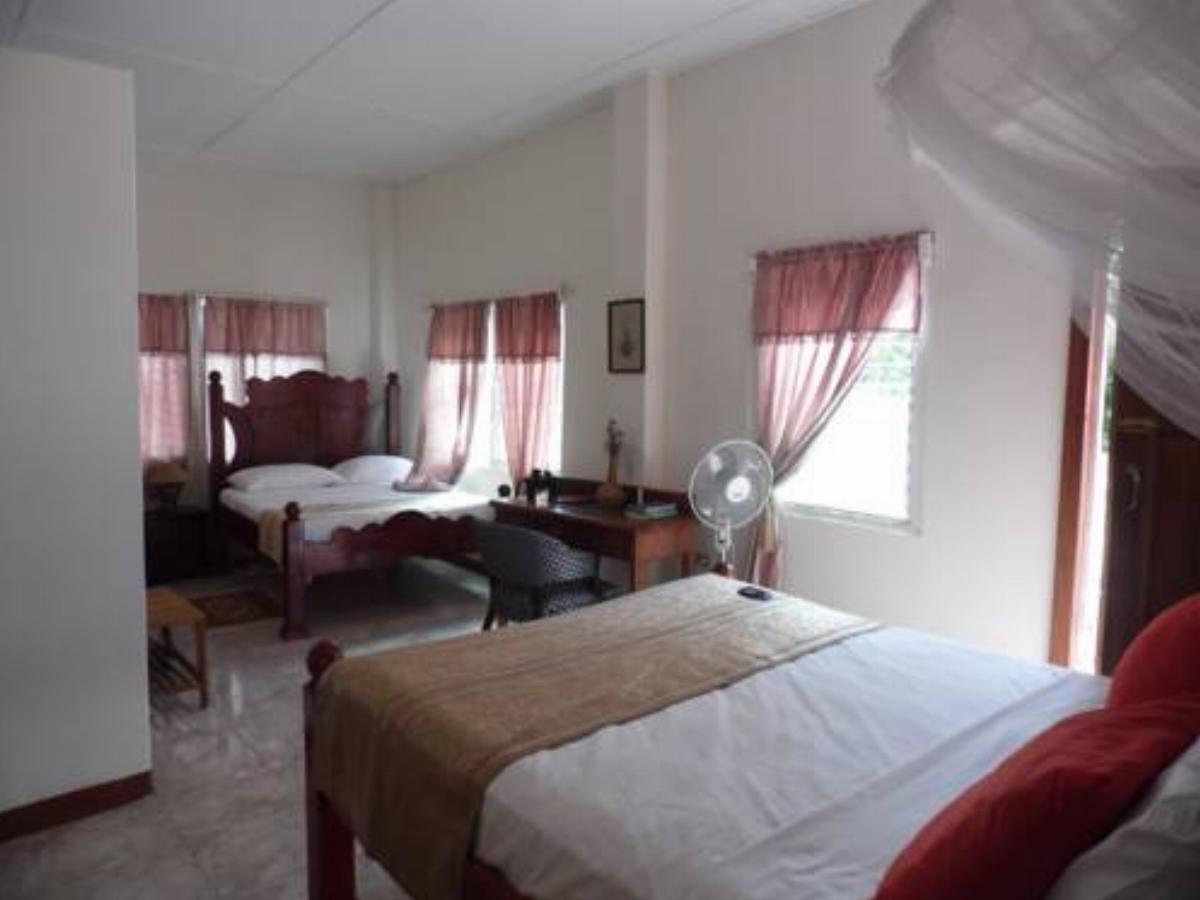 Sloth Island Nature Resort Hotel Bartica Guyana
