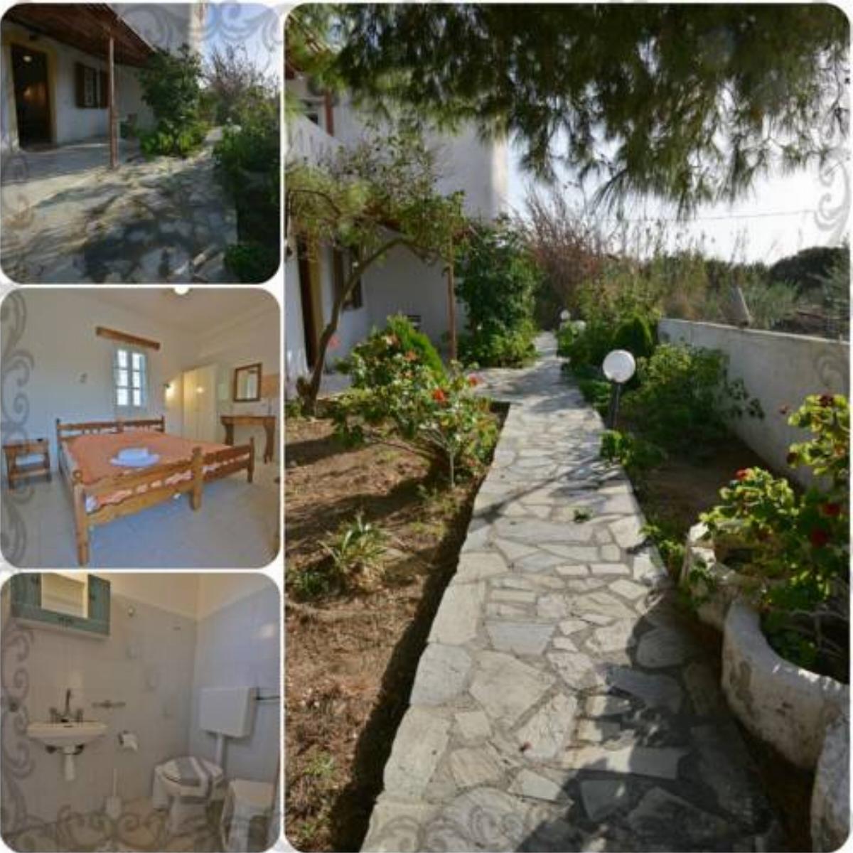 Sophi's L Studios & Apartments Hotel Agia Anna Naxos Greece