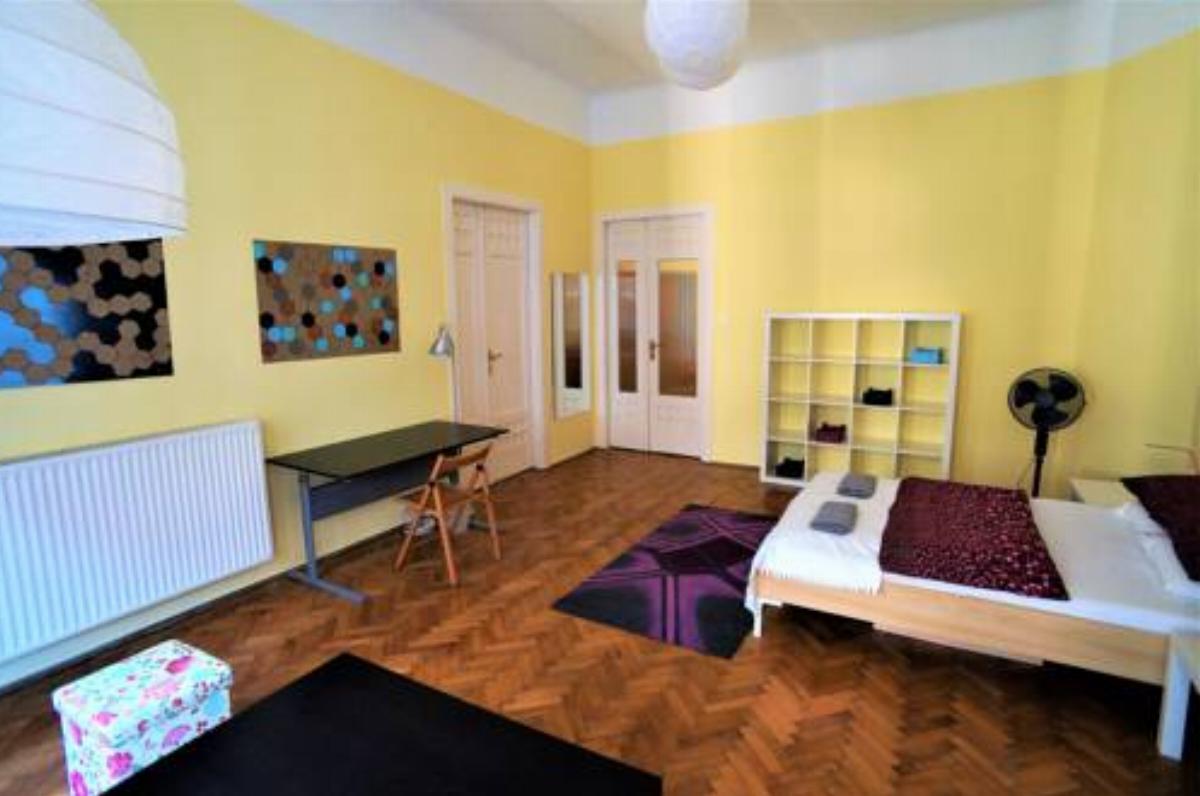 Spacious Flat in the Jewish Quarter Hotel Budapest Hungary