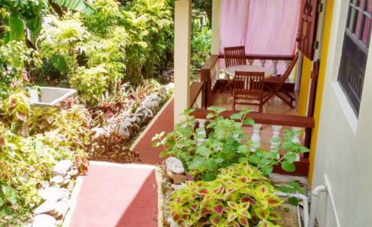 Sunny Yellow: Live Like A Local Hotel Hyde Park Grenada
