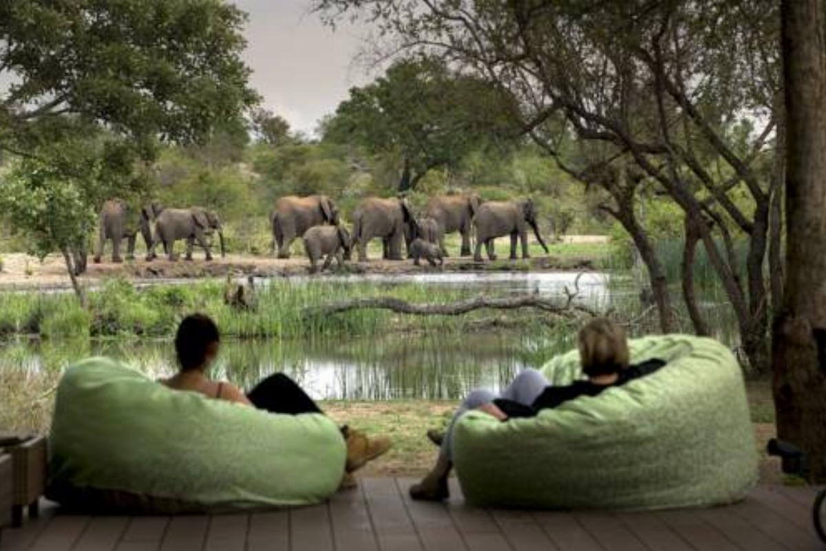 Tanda Tula Safari Camp Hotel Timbavati Game Reserve South Africa