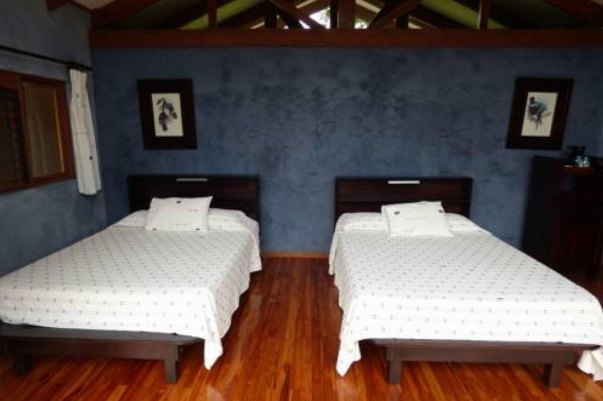 Tenorio Lodge Hotel Bijagua Costa Rica