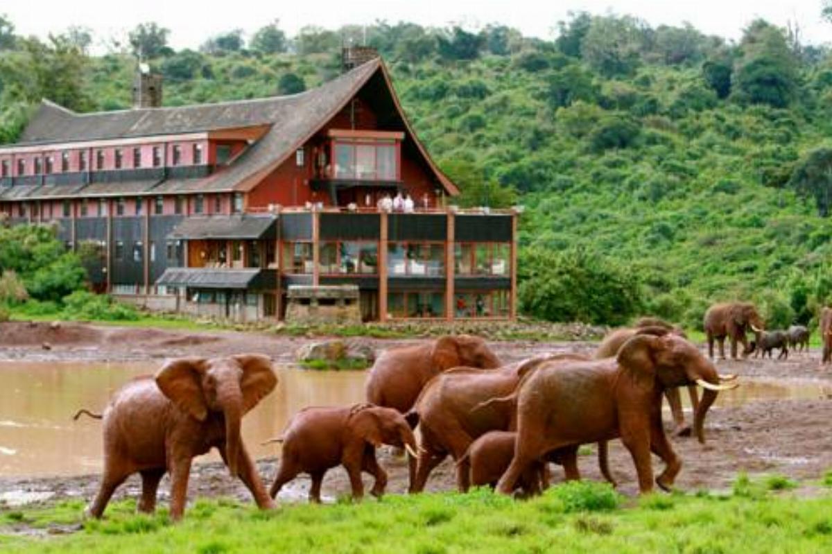 The Ark Lodge Hotel Nyeri Kenya