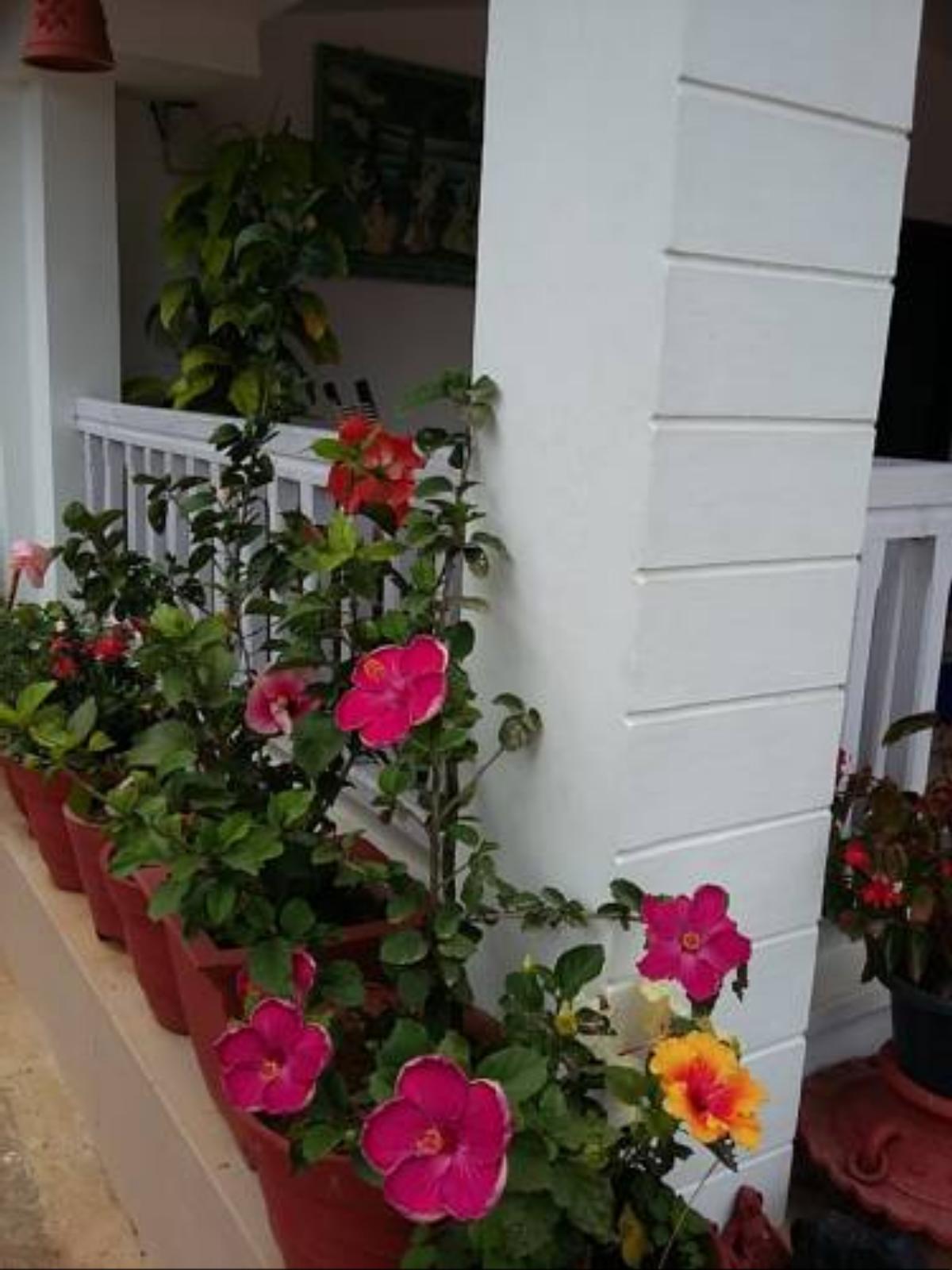 The Blue Mountains Estate Stay Hotel Madikeri India