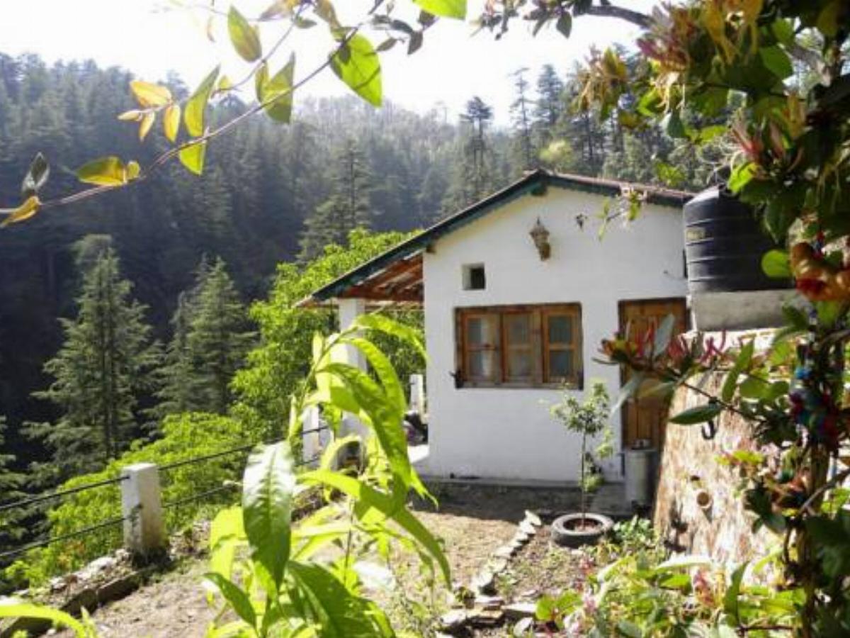 The Cabin by the Woods Hotel Almora India