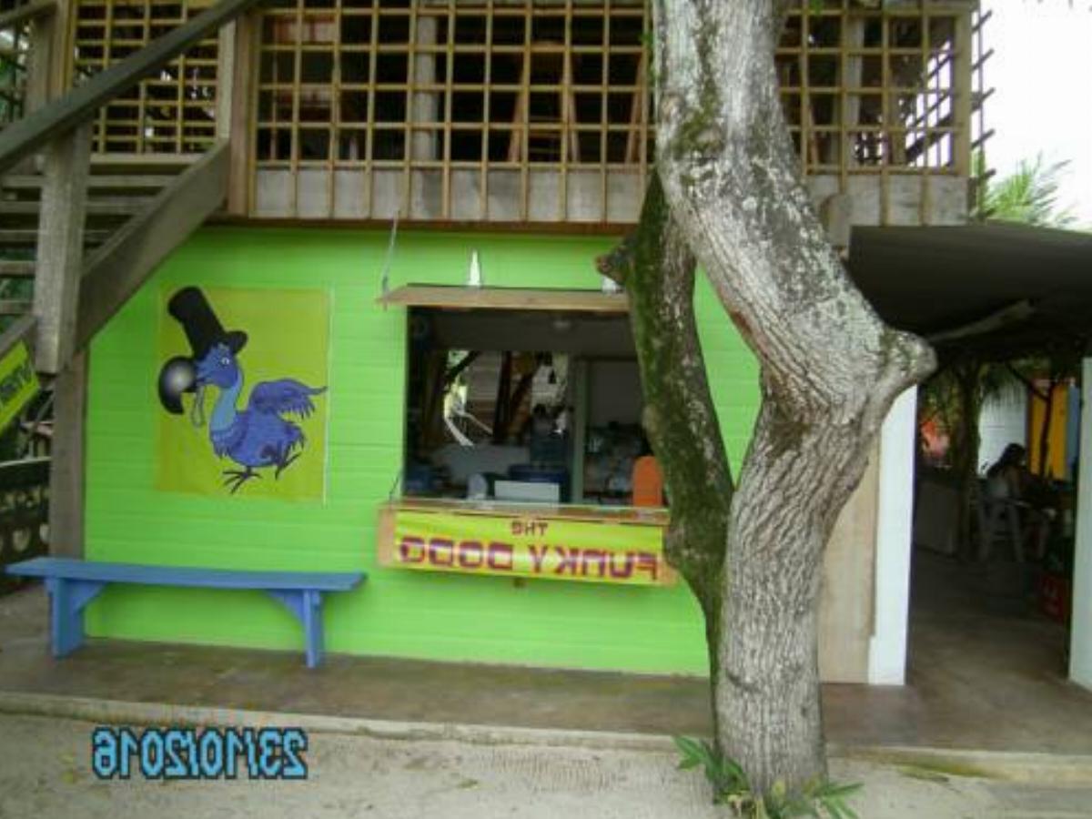 The Funky Dodo Backpackers Hostel Hotel Hopkins Belize