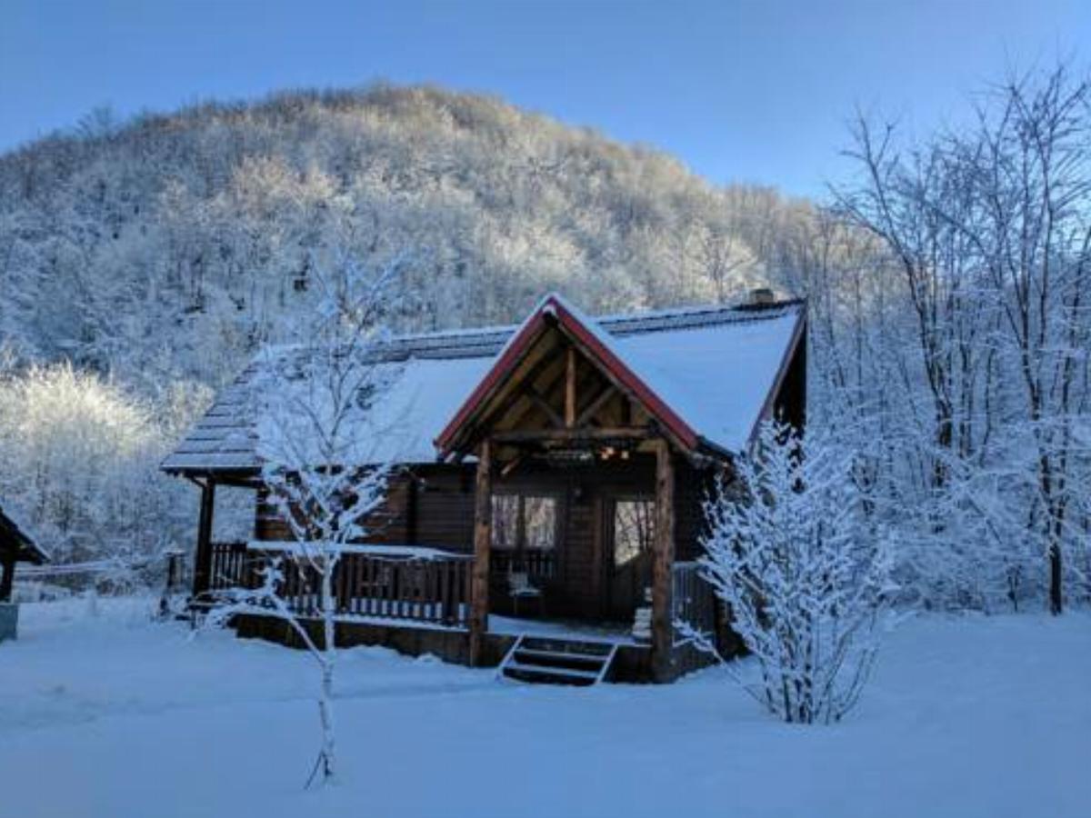 The Little Mountain Cabin Hotel Borlova Romania