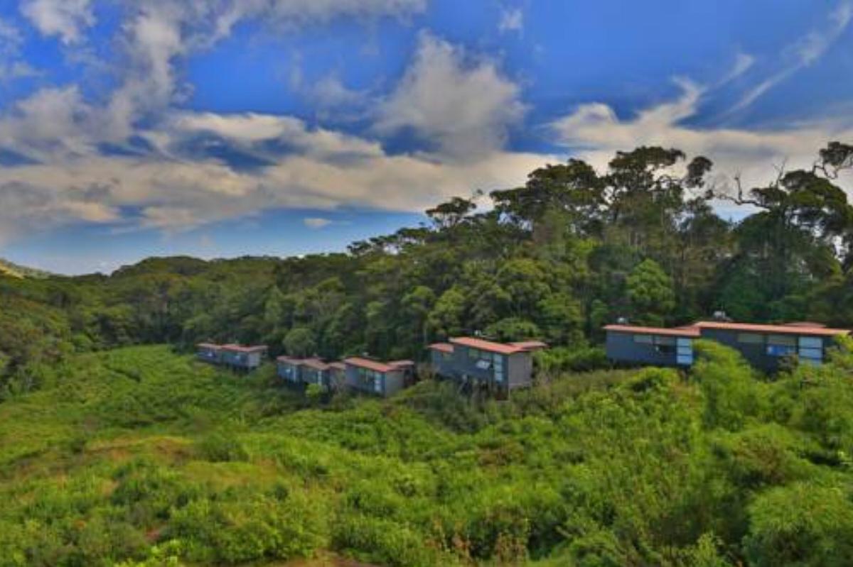 The Rainforest Ecolodge - Sinharaja Hotel Deniyaya Sri Lanka