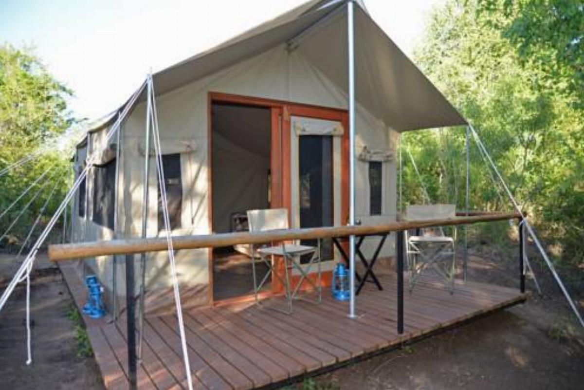 The Wild Olive Tree Camp Hotel Manyeleti Game Reserve South Africa
