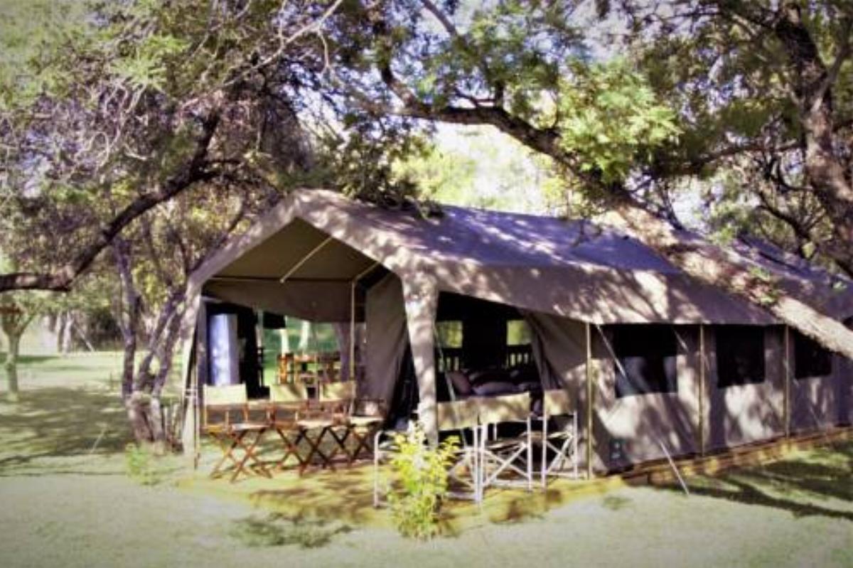 Thorn Tree Bush Camp Hotel  Hammanskraal South Africa