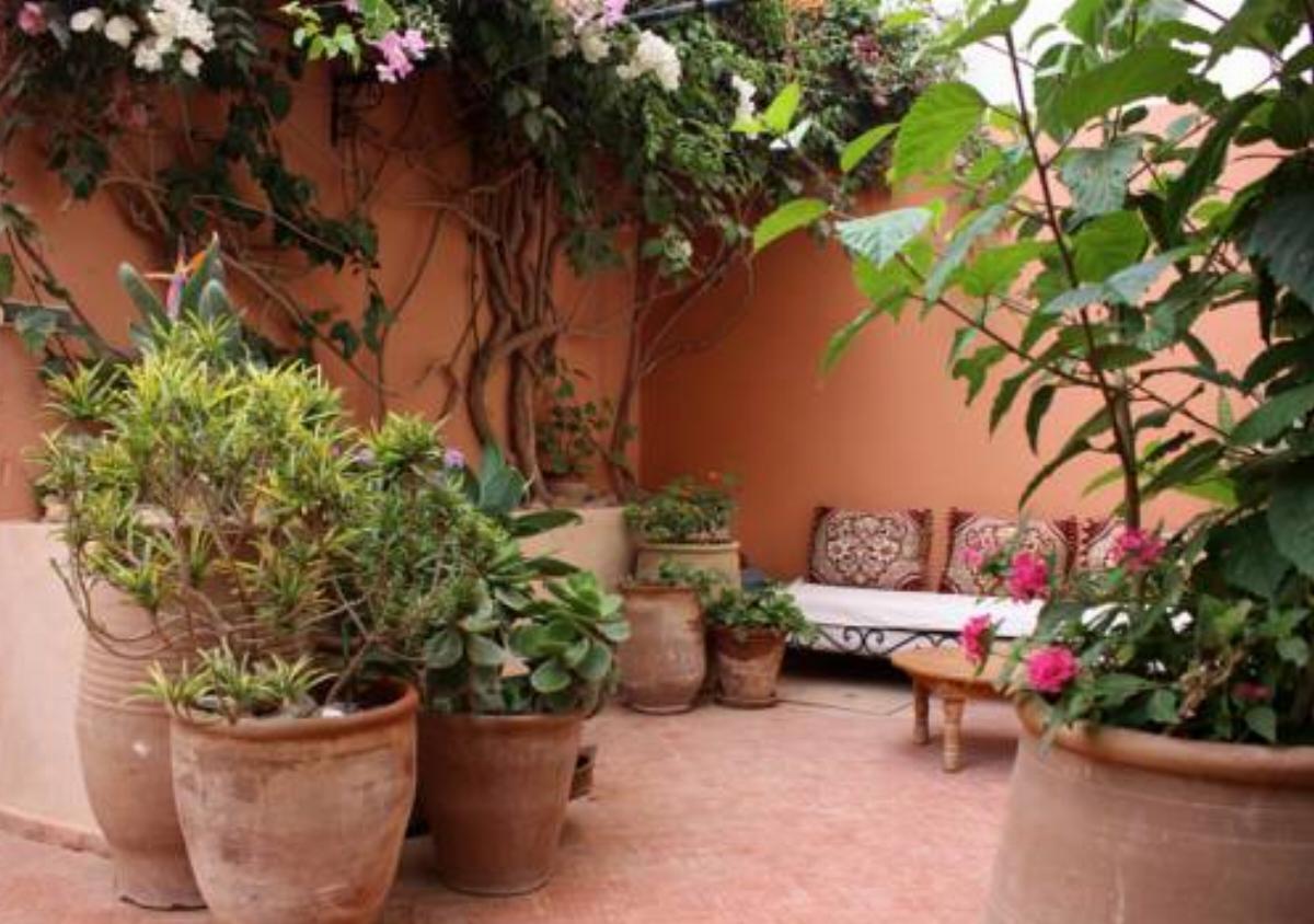 Tifawin Home And Garden Hotel Mirleft Morocco