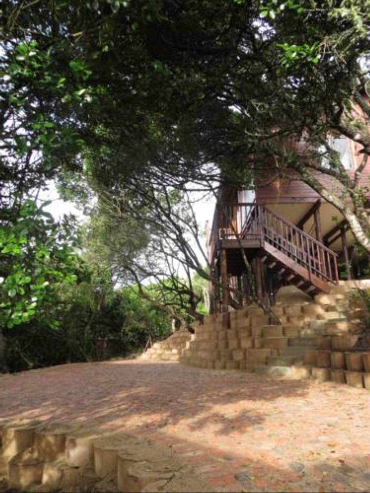 Tree Top Cottage Hotel Sedgefield South Africa