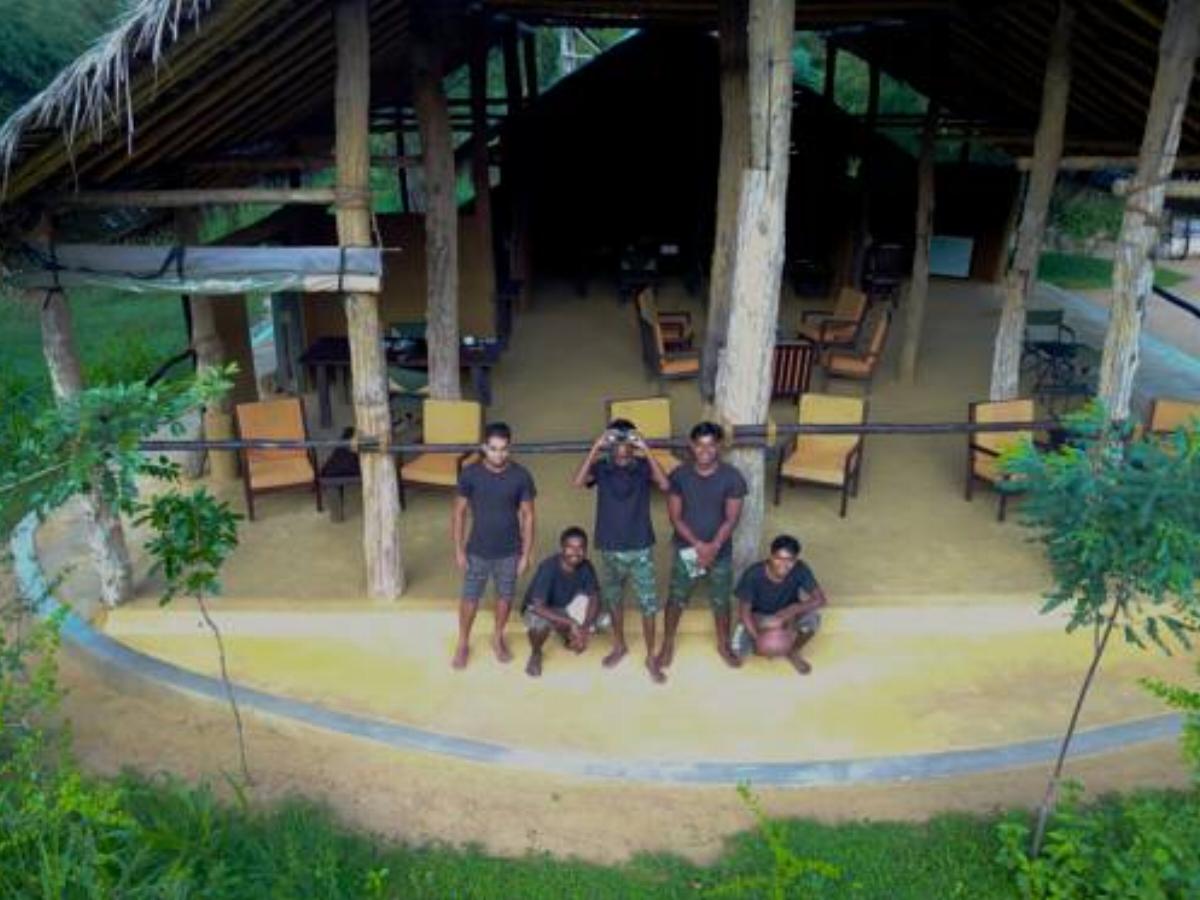Tree Tops Jungle Lodge Hotel Buttala Sri Lanka