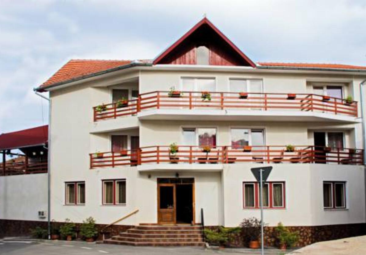 Vila Mihu Hotel Geoagiu Băi Romania