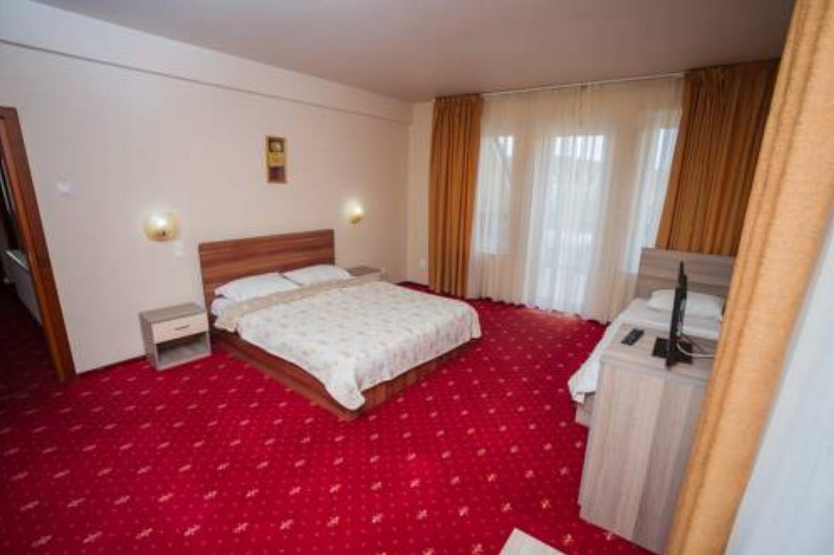 Vila Romance Hotel Bistriţa Romania
