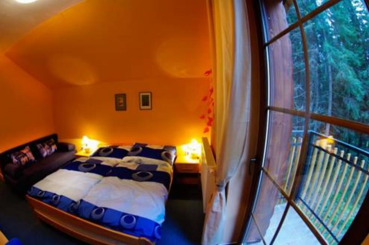 Villa Aspen Hotel Demanovska Dolina Slovakia