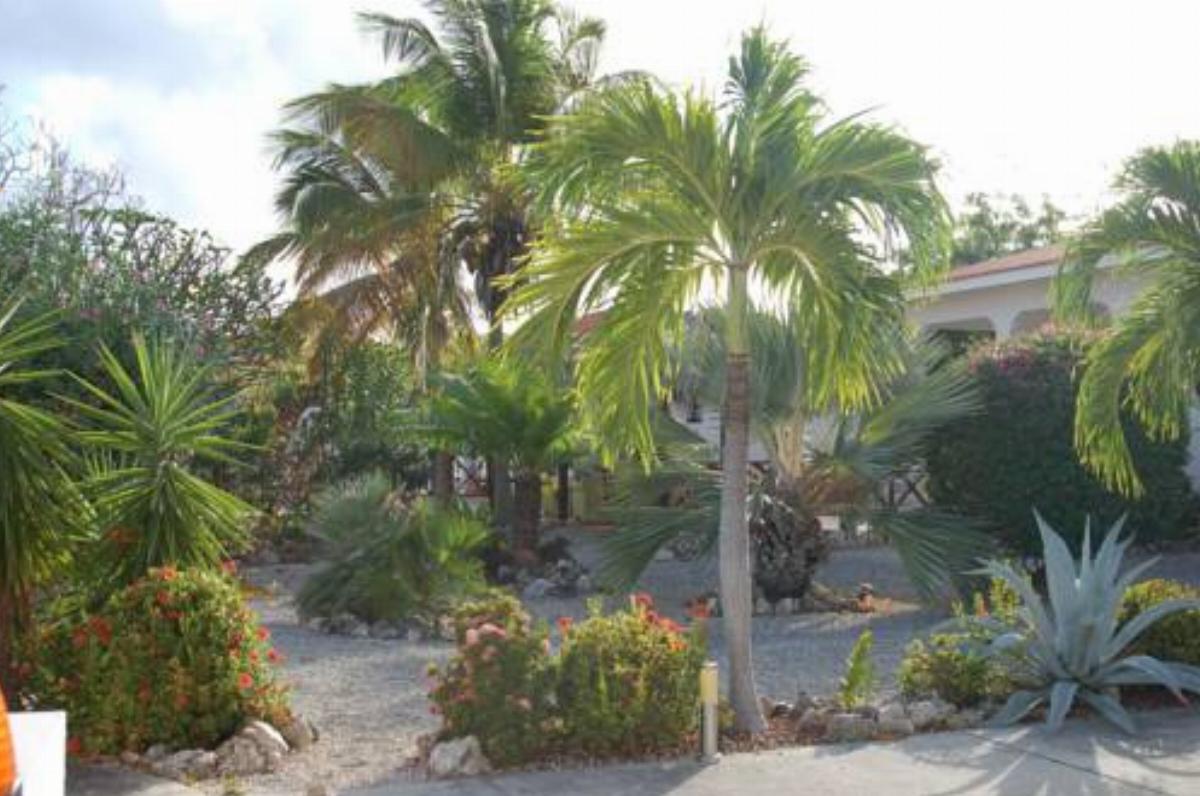 Villa Lunt Hotel Kralendijk Bonaire St Eustatius and Saba