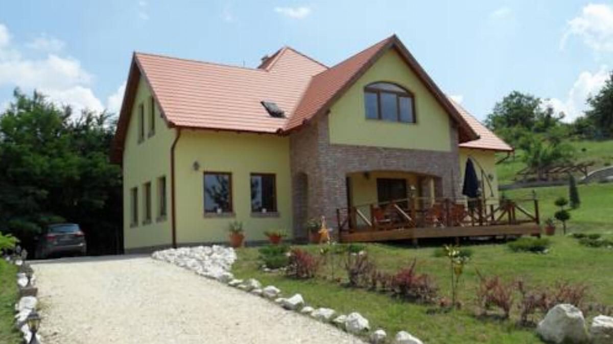 Villa Vinea Hotel Etyek Hungary