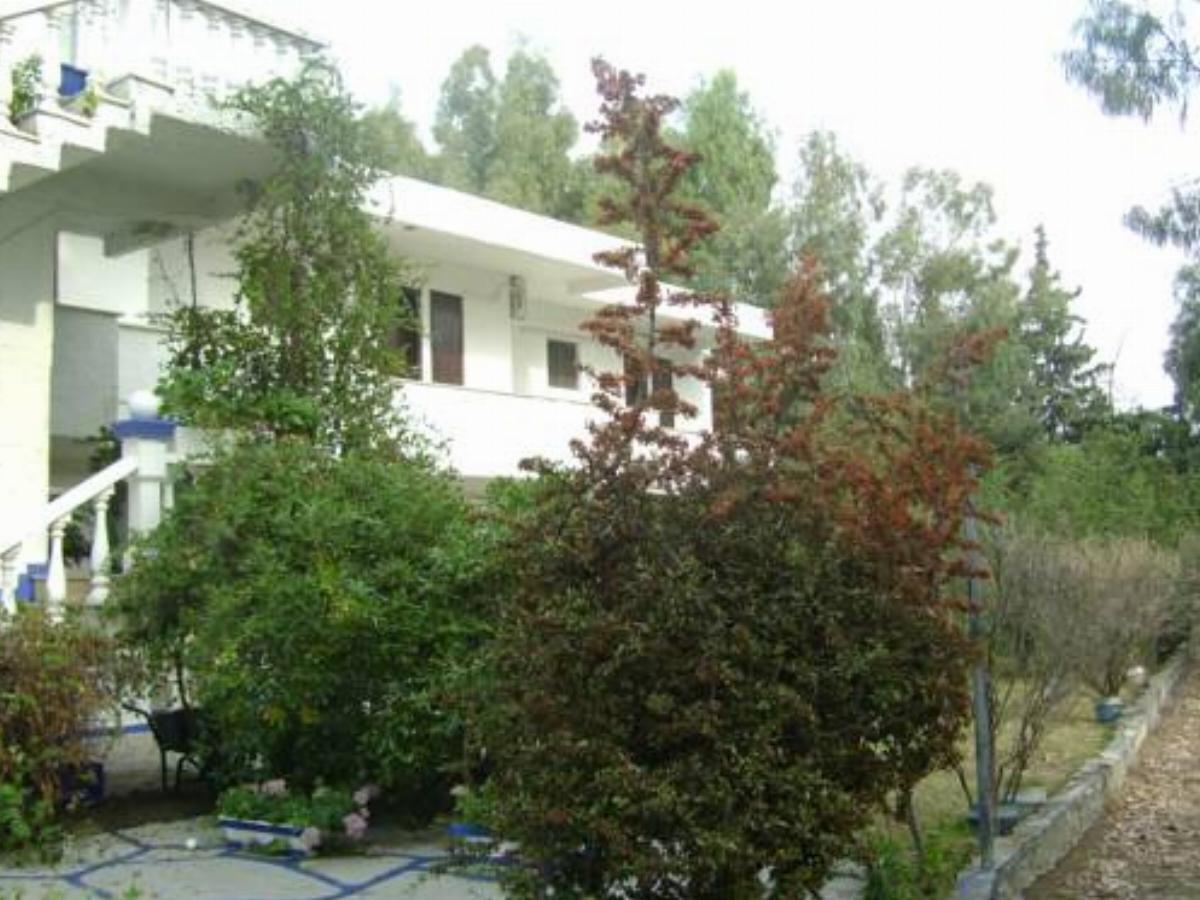 Villa Zoi Hotel Thrónion Greece