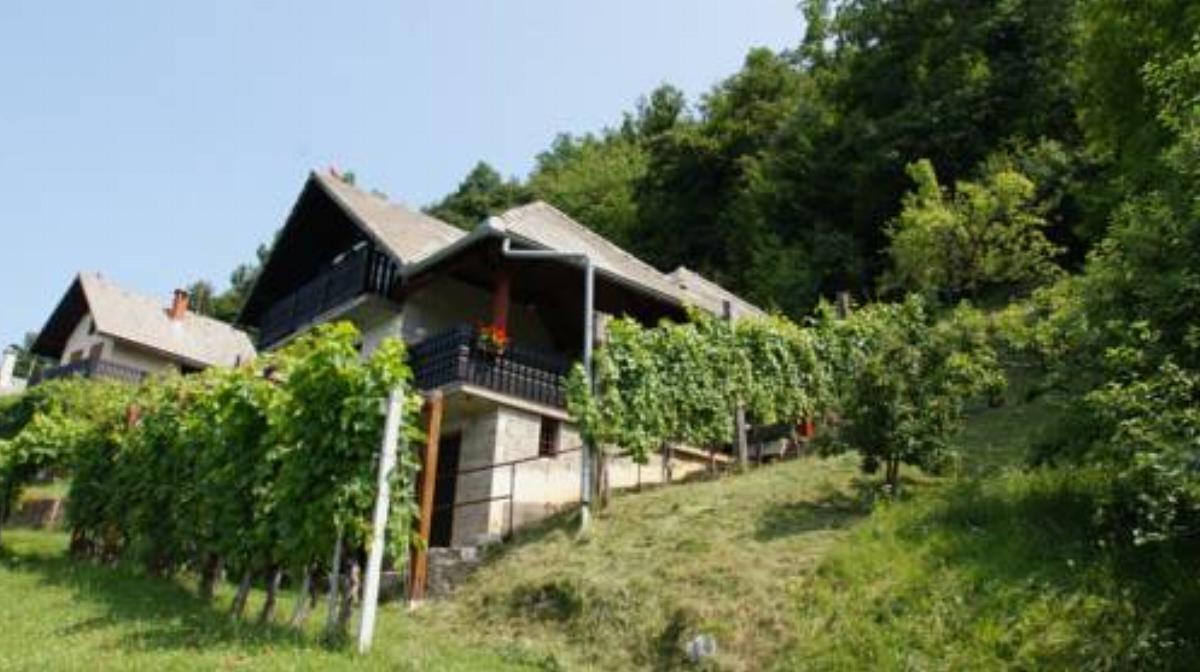 Vineyard Cottage Zajc Hotel Semič Slovenia