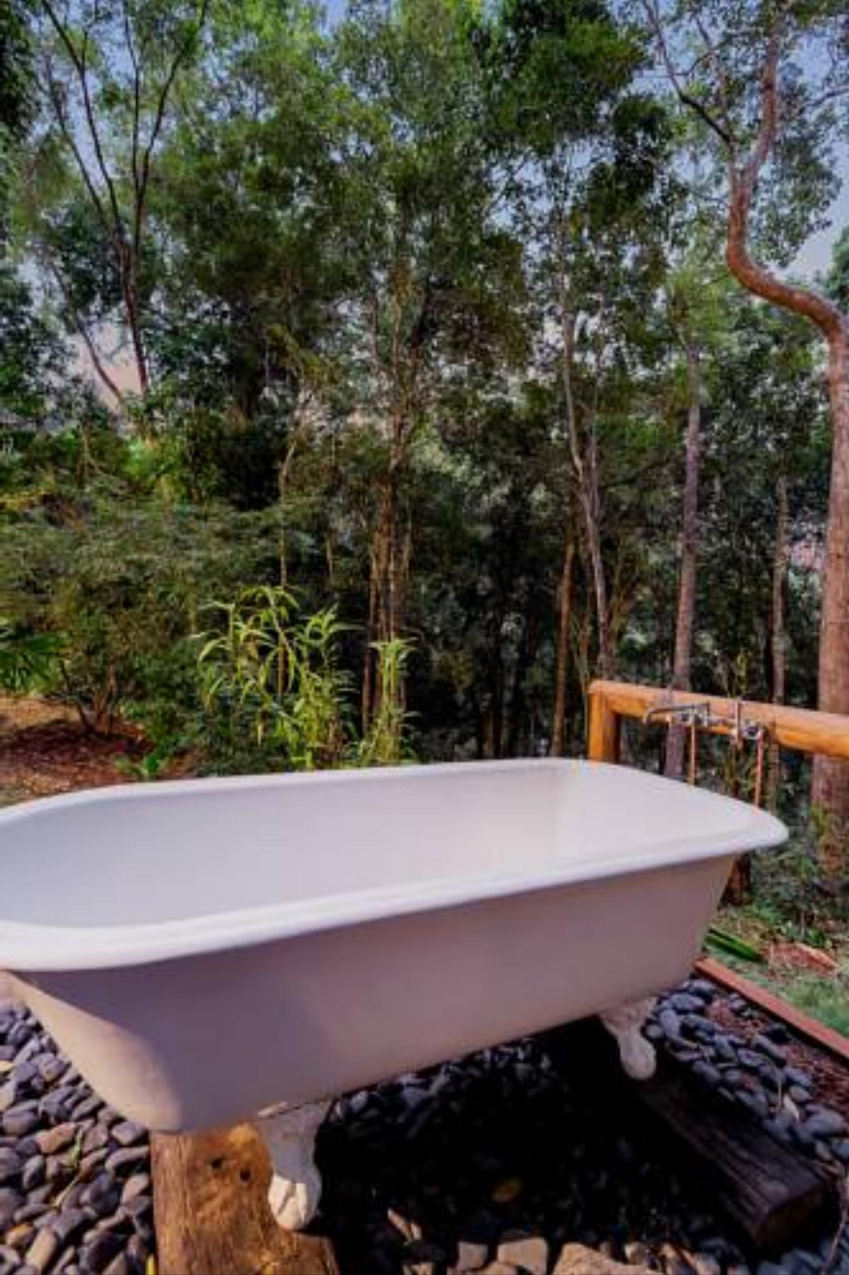 Wanggulay Too Treetops Luxury Cairns City Hotel Caravonica Australia
