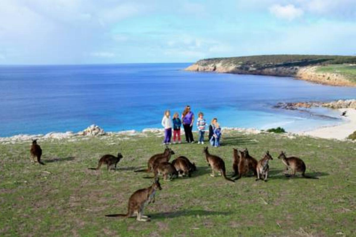 Waves & Wildlife Cottages Kangaroo Island Hotel Stokes Bay Australia