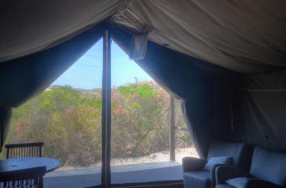West Coast Luxury Tents Hotel Dwarskersbos South Africa