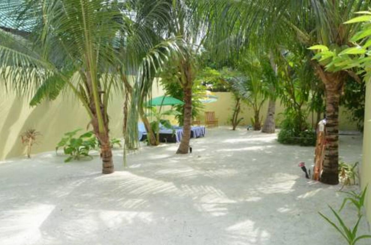 Whale Shark Inn Hotel Maamigili Maldives