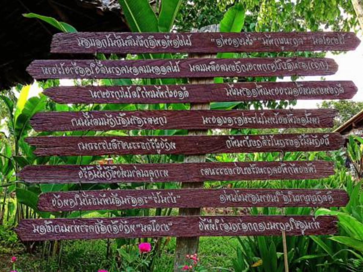 Yang Tone Farm Stay Hotel Chiang Dao Thailand