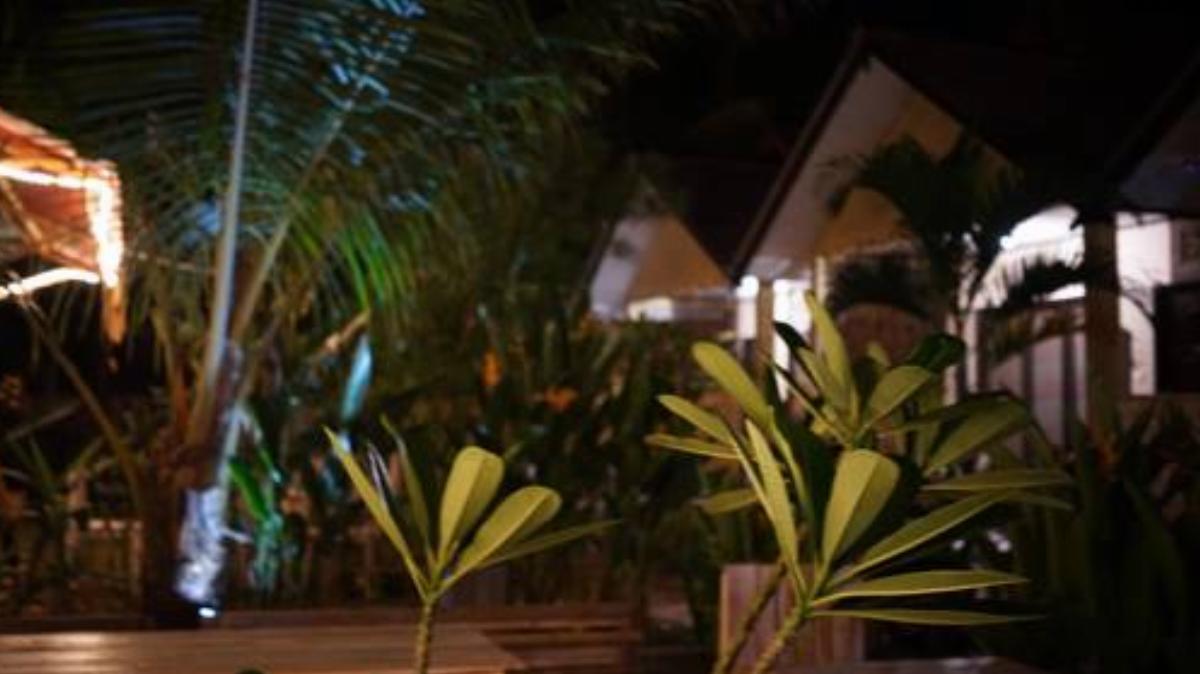 Yellow Coconut Homestay Hotel Gili Trawangan Indonesia