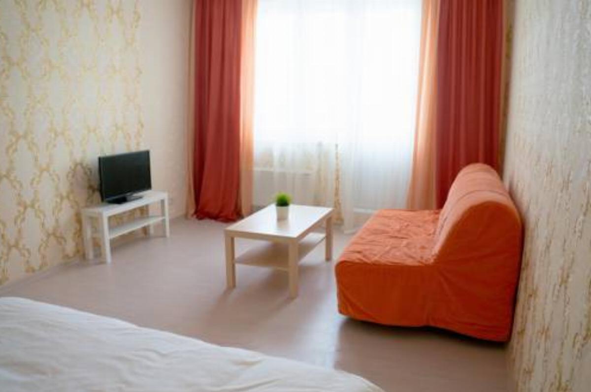 Yellow Room Apartment Hotel Krasnogorsk Russia