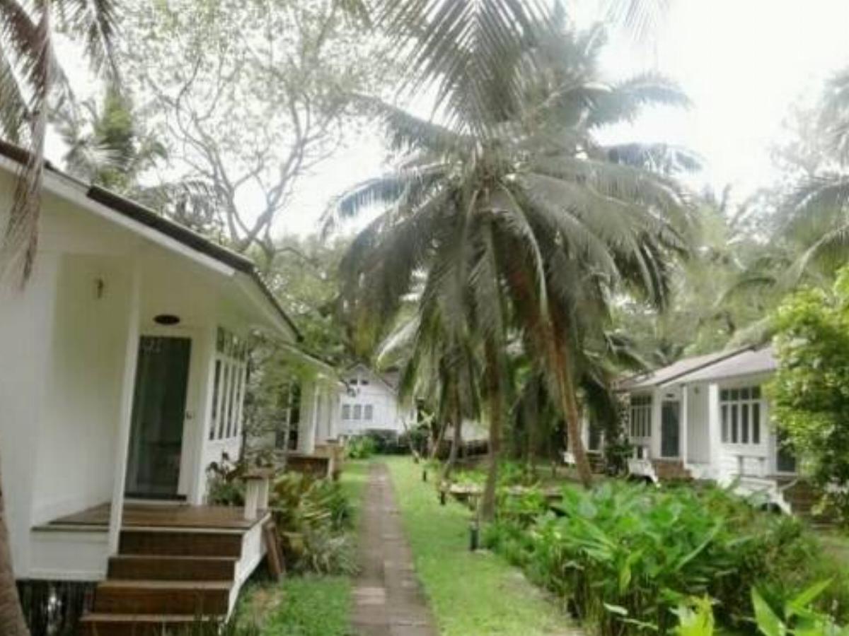 Young Coconut Garden Home Resort Hotel Amphawa Thailand